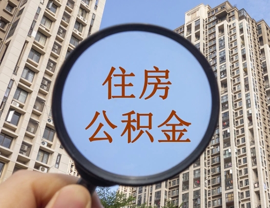 哈尔滨被单位开除多久可以取公积金（被开除后多久能取公积金）